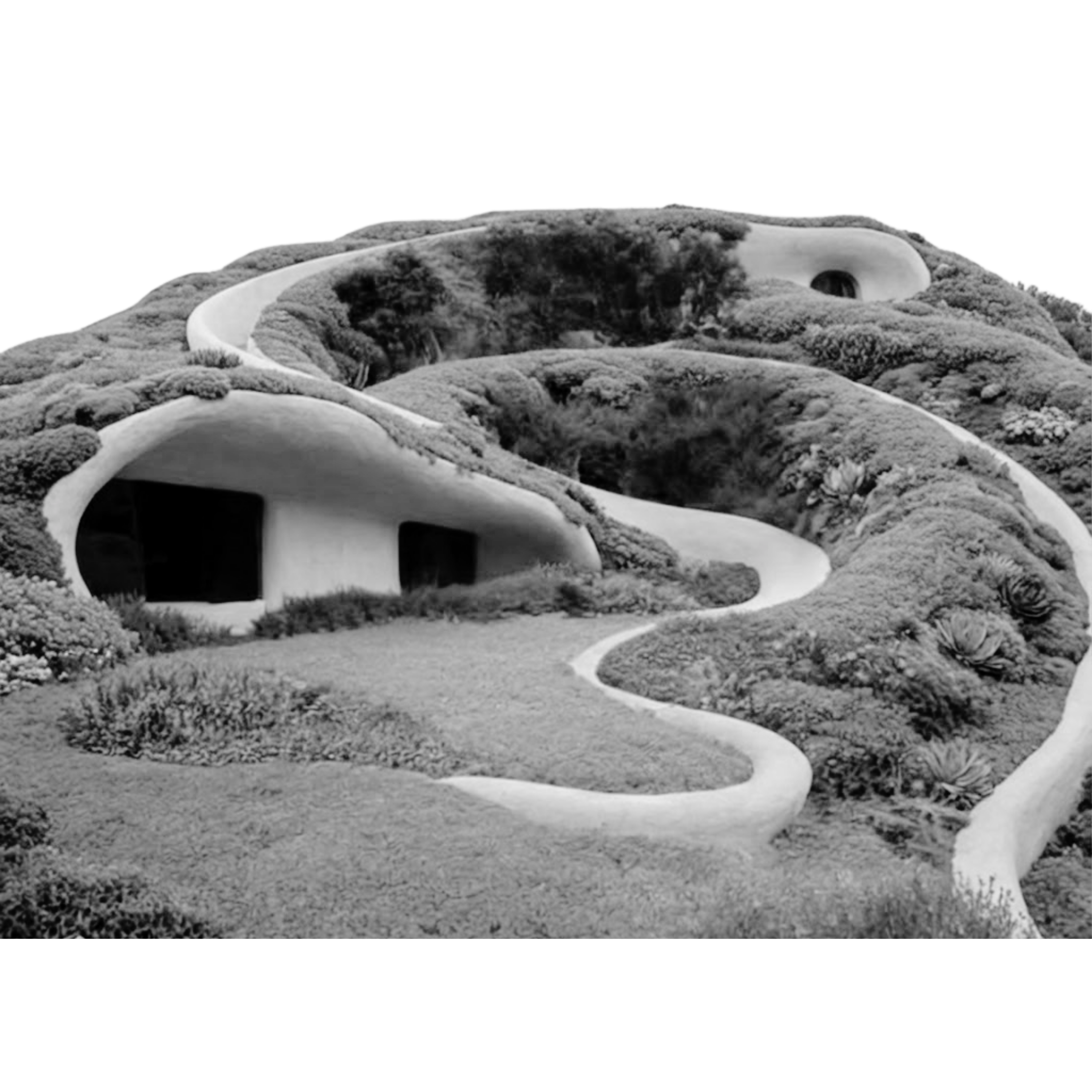 Community landscape illustration